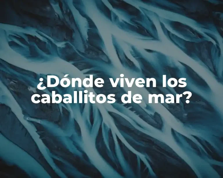 ¿Dónde viven los caballitos de mar?