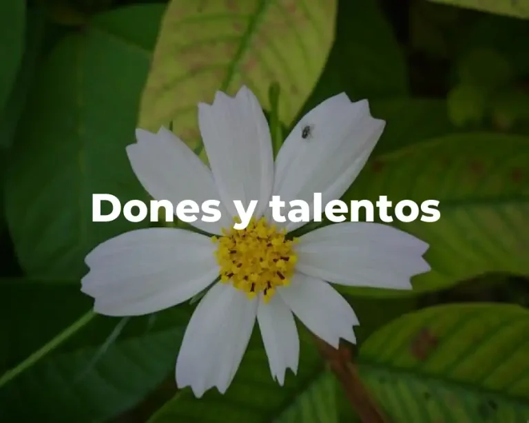 Dones y talentos