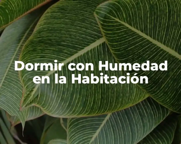 Dormir con Humedad en la Habitación