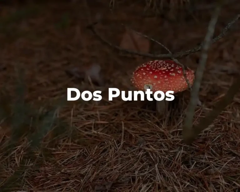 Dos Puntos