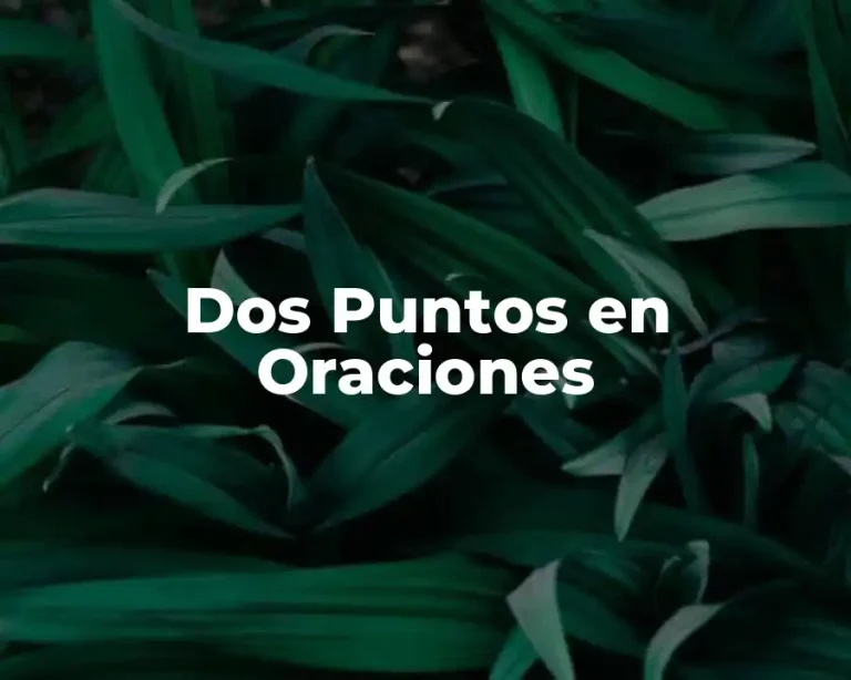 Dos Puntos en Oraciones
