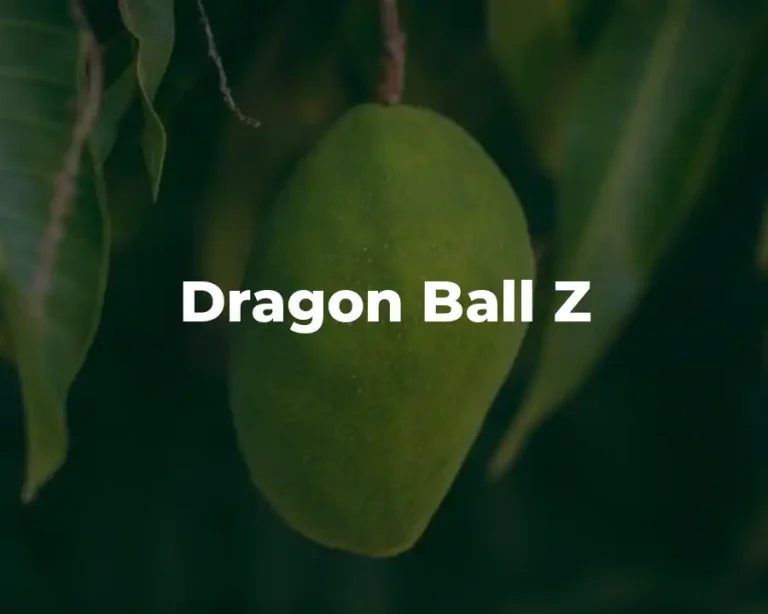 Dragon Ball Z