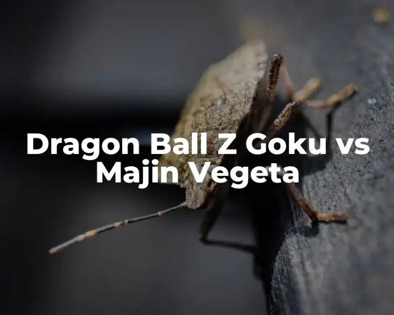 Dragon Ball Z Goku vs Majin Vegeta