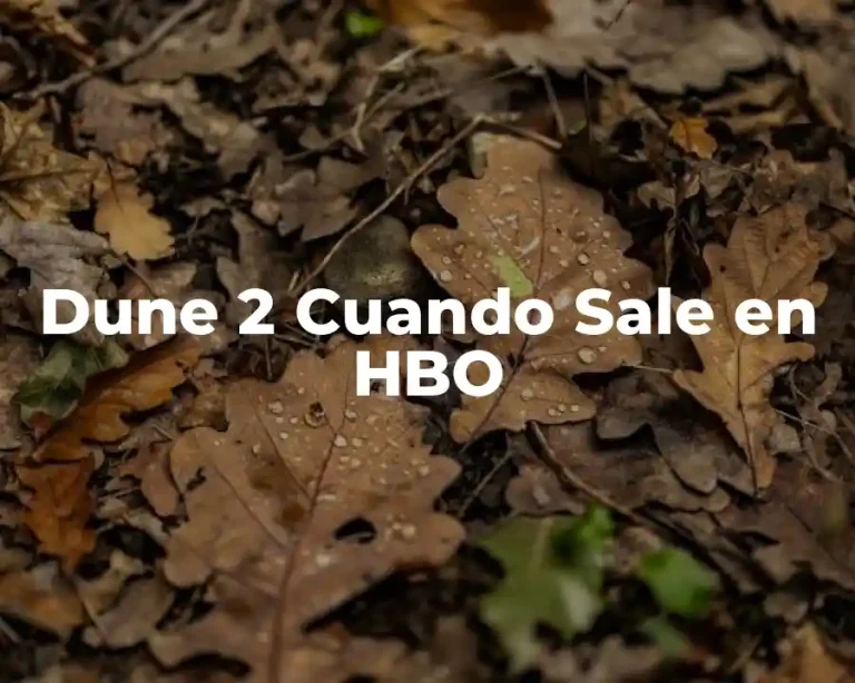Dune 2 Cuando Sale en HBO