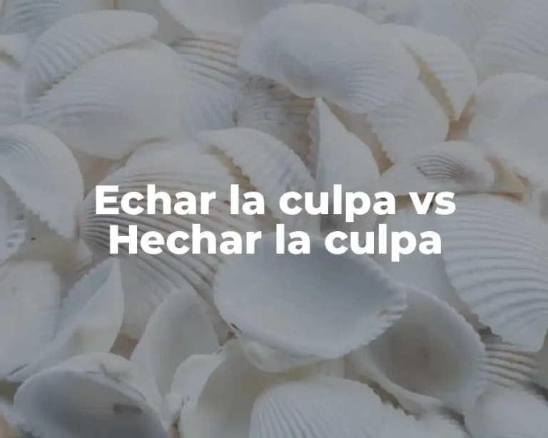 Echar la culpa vs Hechar la culpa