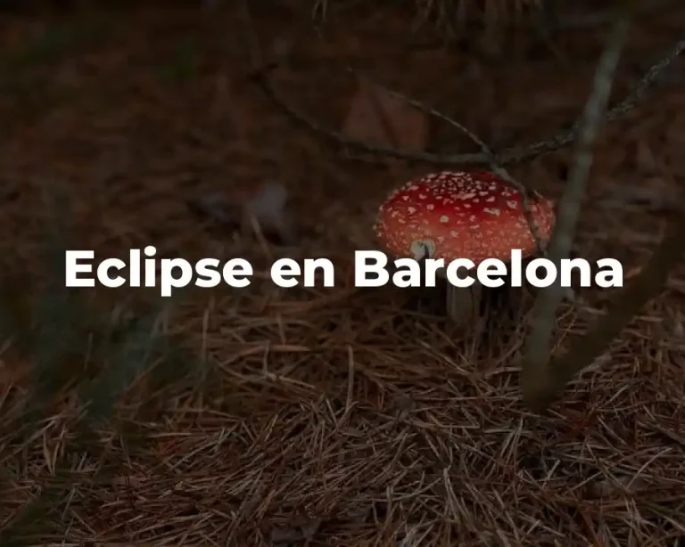 Eclipse en Barcelona