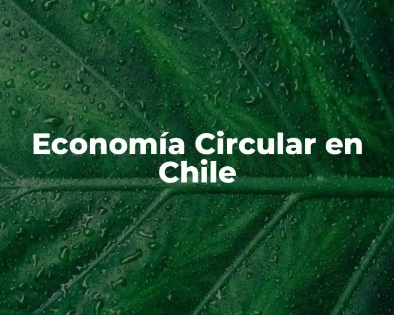Economía Circular en Chile