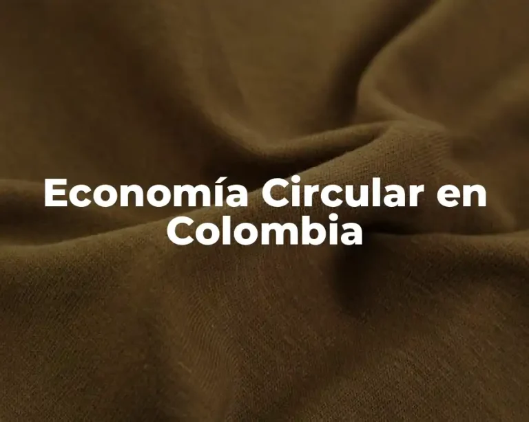 Economía Circular en Colombia