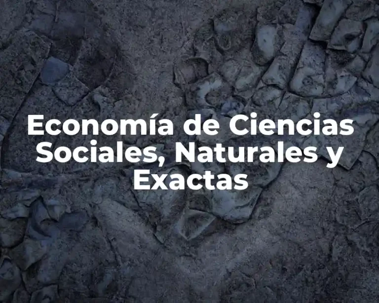Economía de Ciencias Sociales, Naturales y Exactas