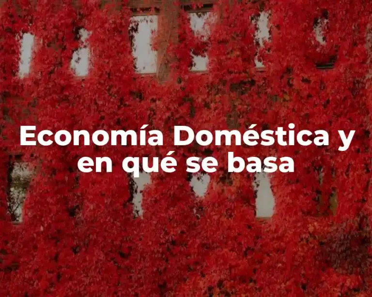 Economía Doméstica y en qué se basa