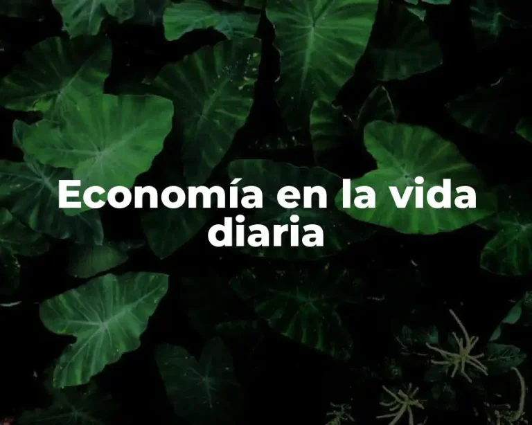 Economía en la vida diaria