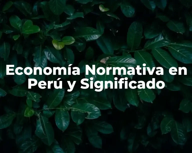 Economía Normativa en Perú y Significado