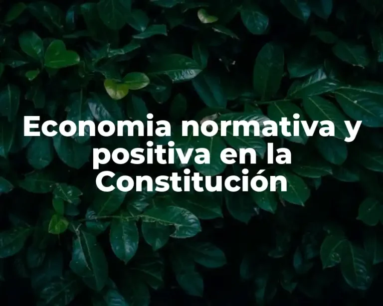 Economia normativa y positiva en la Constitución