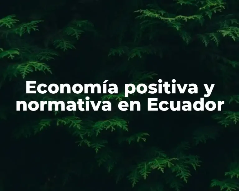 Economía positiva y normativa en Ecuador