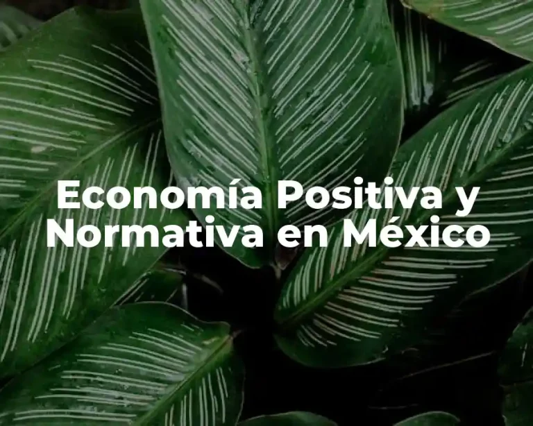 Economía Positiva y Normativa en México