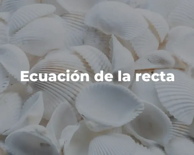 Ecuación de la recta