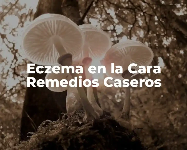 Eczema en la Cara Remedios Caseros