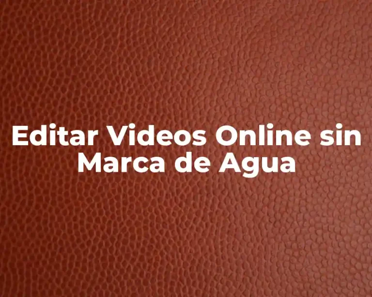 Editar Videos Online sin Marca de Agua