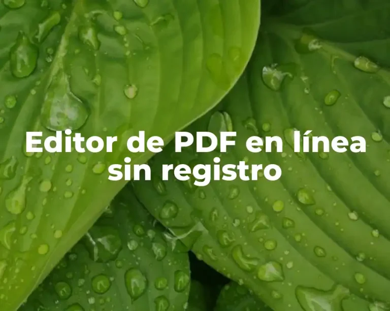 Editor de PDF en línea sin registro