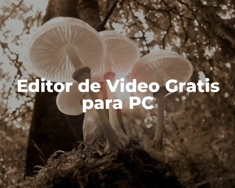 Editor de Video Gratis para PC