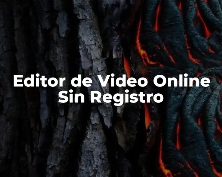 Editor de Video Online Sin Registro