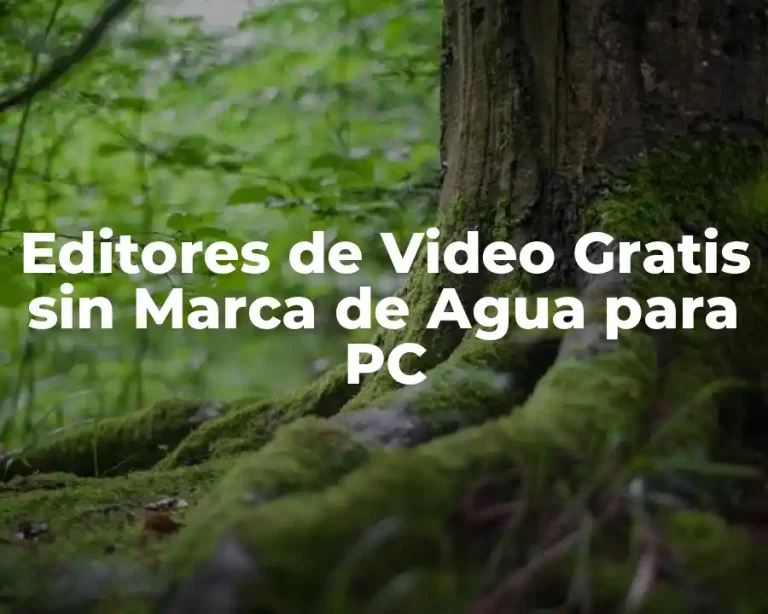 Editores de Video Gratis sin Marca de Agua para PC