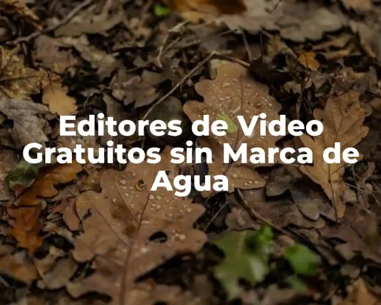 Editores de Video Gratuitos sin Marca de Agua