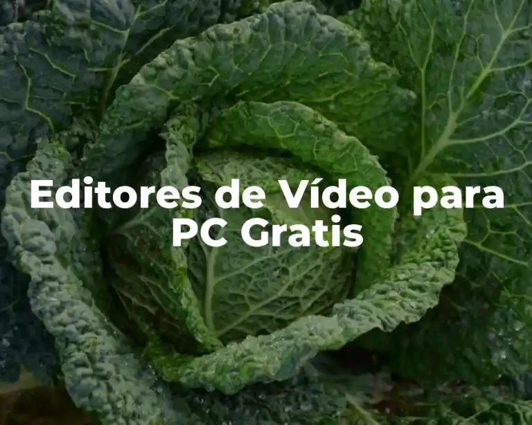 Editores de Vídeo para PC Gratis
