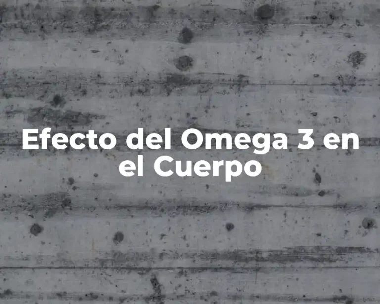 Efecto del Omega 3 en el Cuerpo