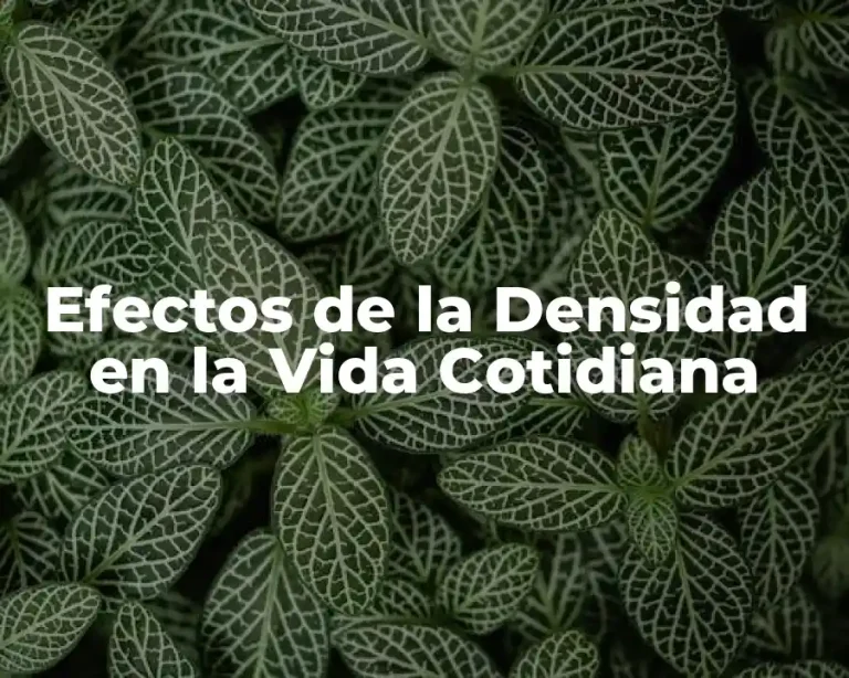 Efectos de la Densidad en la Vida Cotidiana