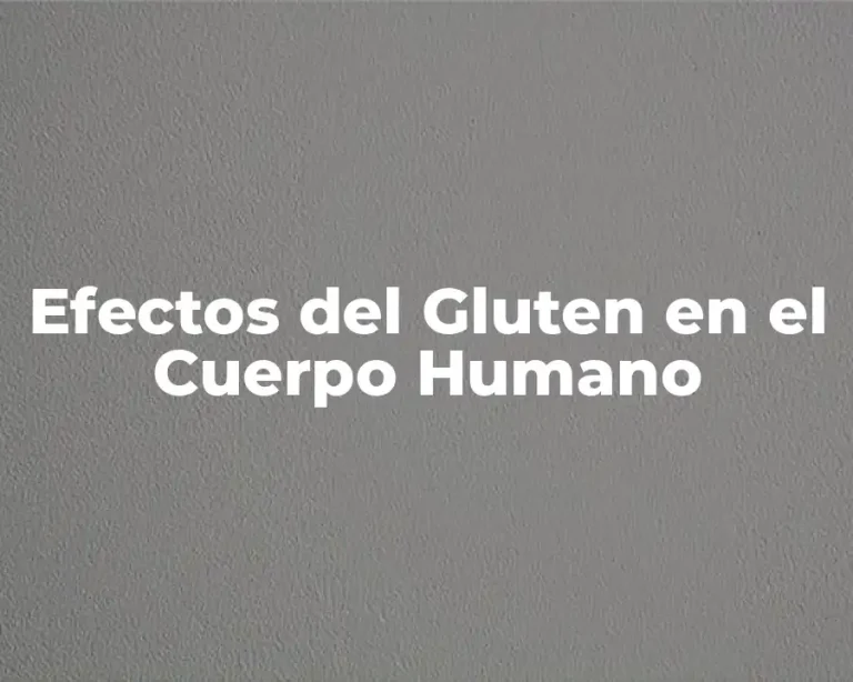 Efectos del Gluten en el Cuerpo Humano