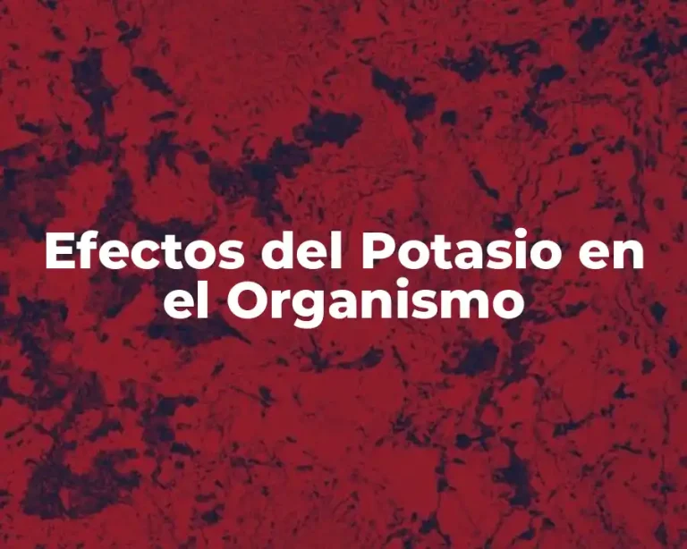 Efectos del Potasio en el Organismo
