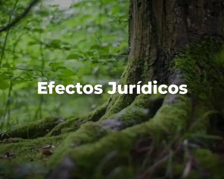 Efectos Jurídicos