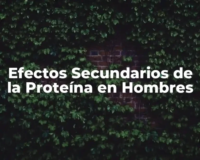 Efectos Secundarios de la Proteína en Hombres