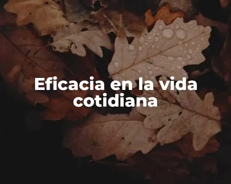 Eficacia en la vida cotidiana