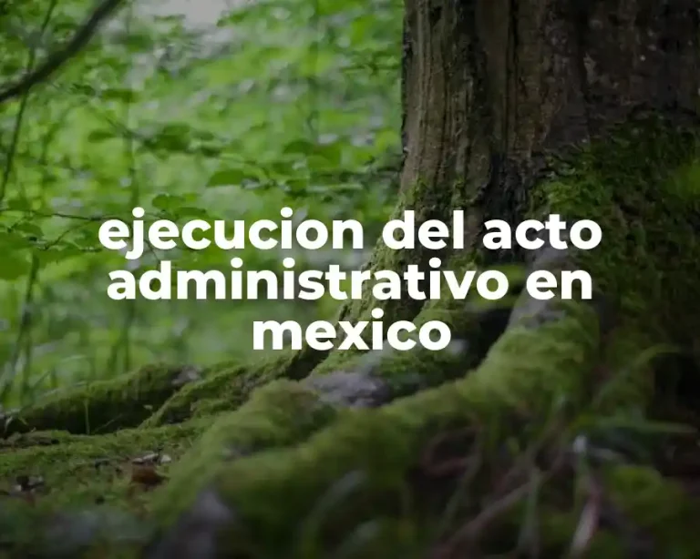 ejecucion del acto administrativo en mexico