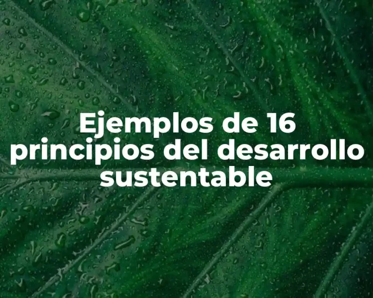 Ejemplos de 16 principios del desarrollo sustentable