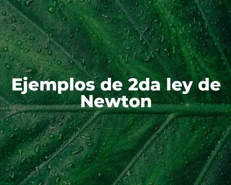 Ejemplos de 2da ley de Newton