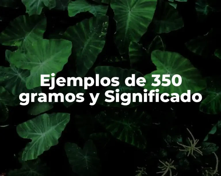 Ejemplos de 350 gramos y Significado