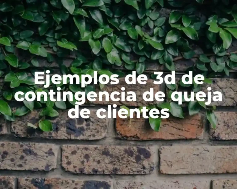 Ejemplos de 3d de contingencia de queja de clientes