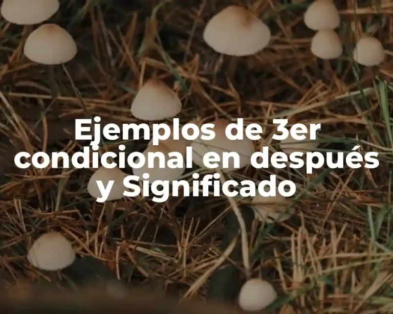 Ejemplos de 3er condicional en después y Significado