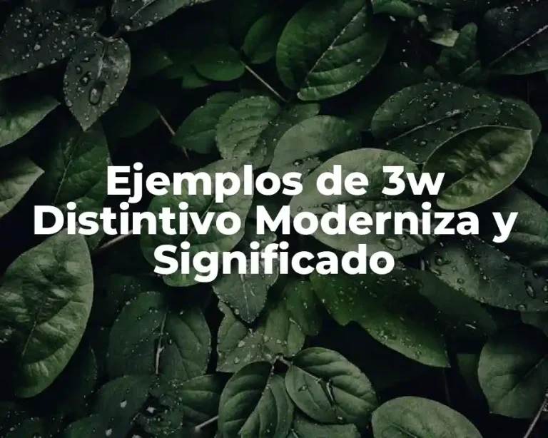 Ejemplos de 3w Distintivo Moderniza y Significado