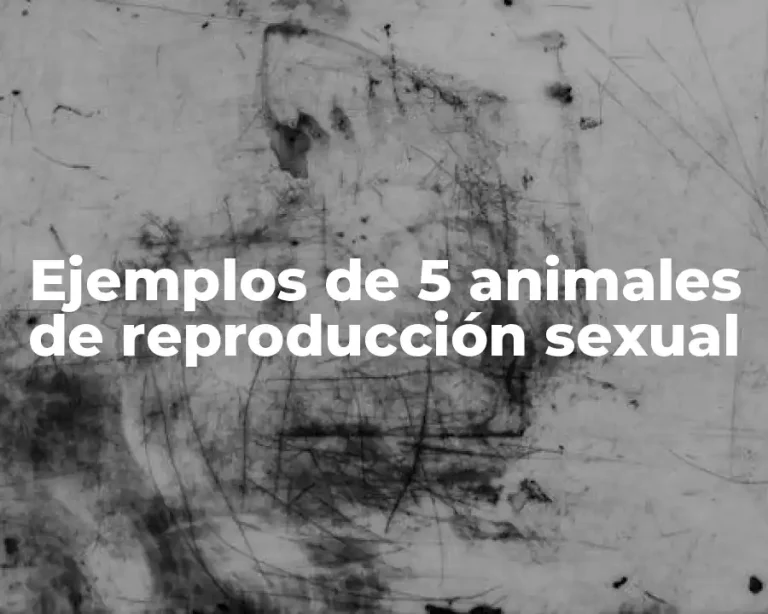 Ejemplos de 5 animales de reproducción sexual