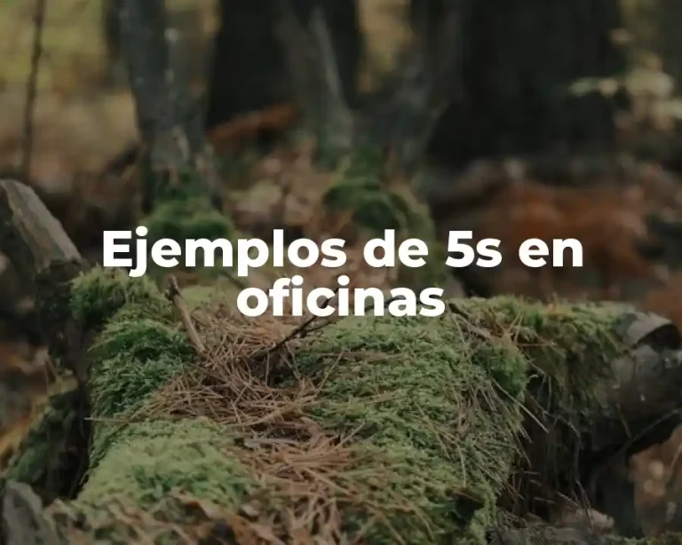 Ejemplos de 5s en oficinas