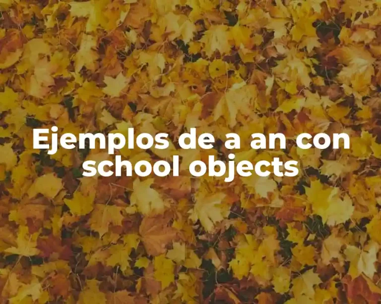 Ejemplos de a an con school objects