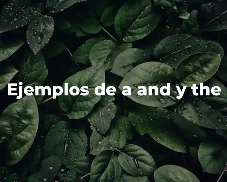 Ejemplos de a and y the