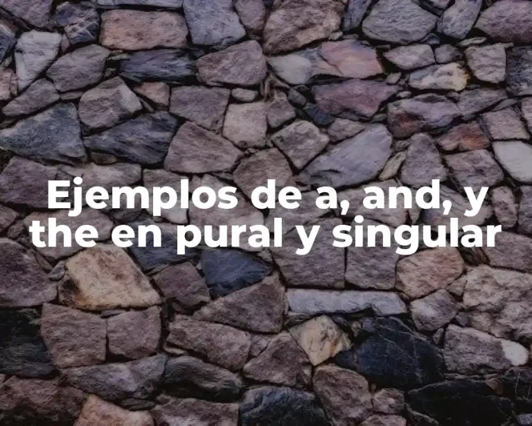 Ejemplos de a, and, y the en pural y singular