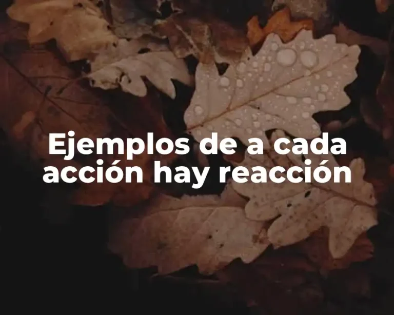 Ejemplos de a cada acción hay reacción