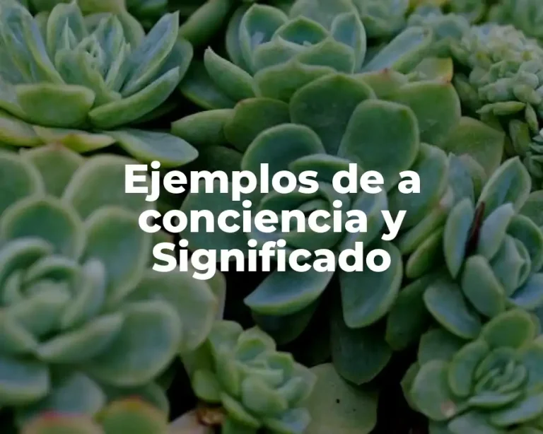 Ejemplos de a conciencia y Significado