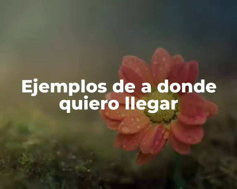 Ejemplos de a donde quiero llegar